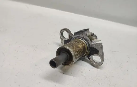 Volkswagen PASSAT B5.5 Master brake cylinder