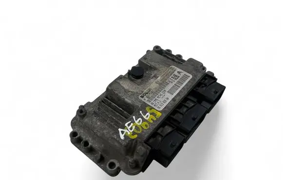 Engine control unit/module ECU