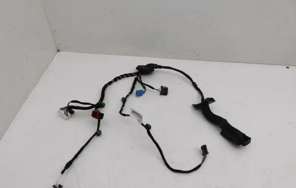 Rear door wiring loom