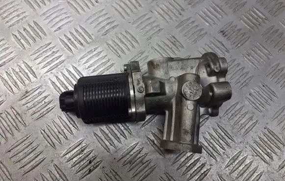 Fiat Punto (188) EGR valve 700020380