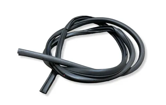 Nissan Leaf II (ZE1) Front door rubber seal 