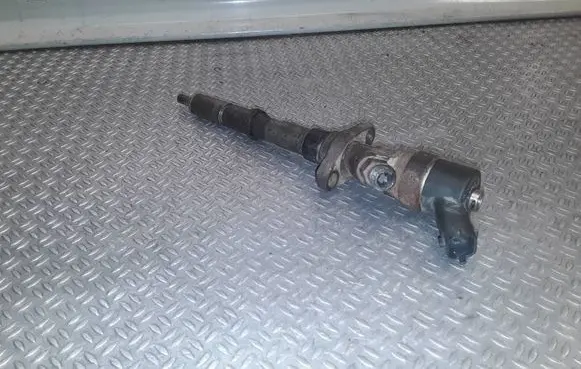 Lancia Phedra Fuel injector 0445110036 9653344880
