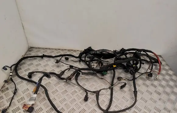 Volkswagen ID.3 Engine installation wiring loom 1EA971658A TAB016490CA