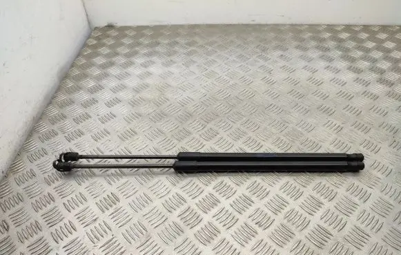 Tailgate/trunk strut/damper