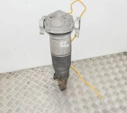 Audi Q7 4L Rear shock absorber/damper 7L8616002