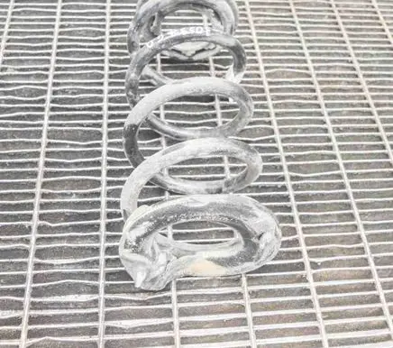 Tesla Model 3 Rear coil spring 104447201E