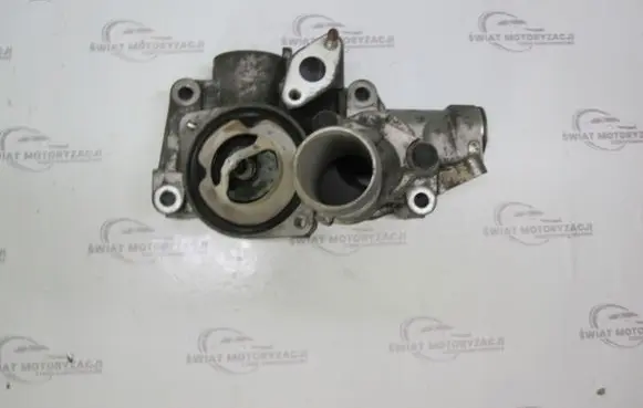 Thermostat/thermostat housing