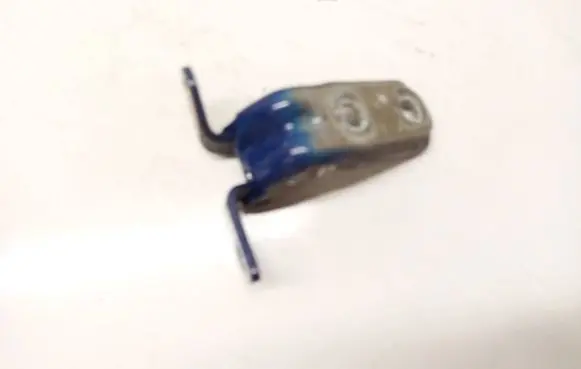 Opel Insignia B Rear door lower hinge 