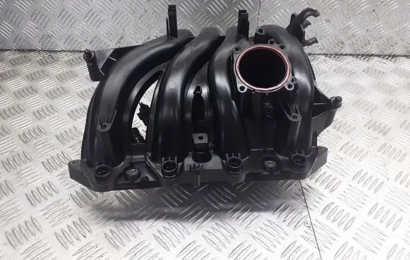 Volkswagen Golf V Intake manifold