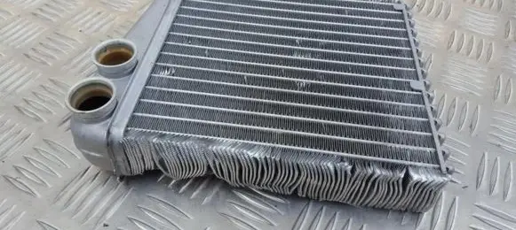 Renault Clio III Heater blower radiator 669223CJ