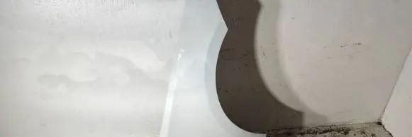 Fender