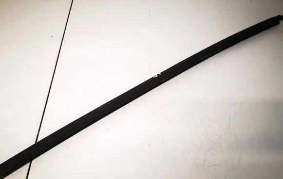 Peugeot 307 Front door glass trim molding 9634456199