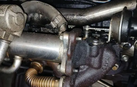 Dacia Sandero EGR valve cooler 147356133R