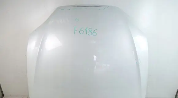 Tesla Model S Engine bonnet/hood 1038384