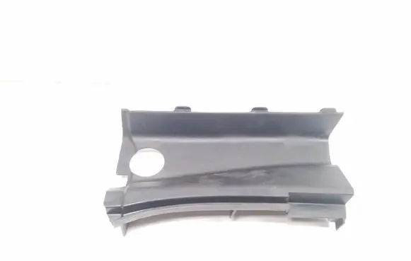 Engine bonnet/hood lock trim molding