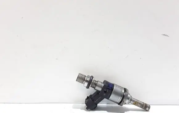 Porsche Cayenne (9PA) Fuel injector 94860523002 103507506