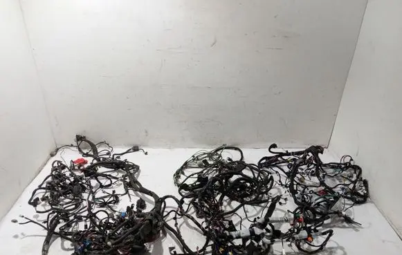 Tesla Model X Wiring harness 207242973A