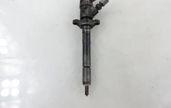 Citroen C4 I Fuel injector 0445110239
