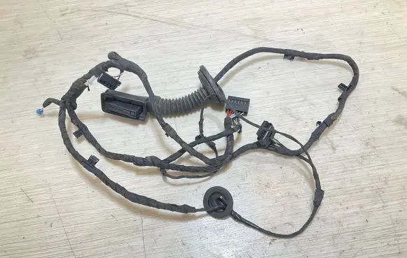 BMW 1 F40 Rear door wiring loom