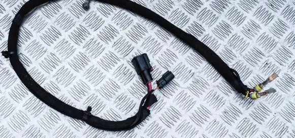 Dodge Challenger Other wiring loom P68213921AC