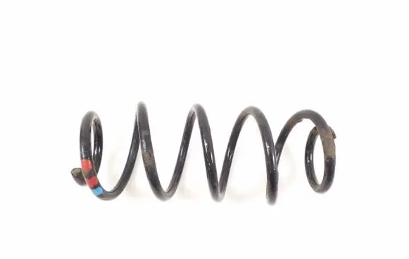 Rear coil spring