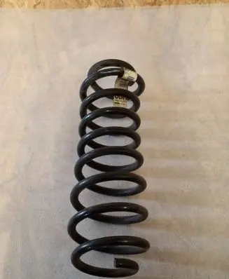 Ford Mustang V Rear coil spring AR335560DB