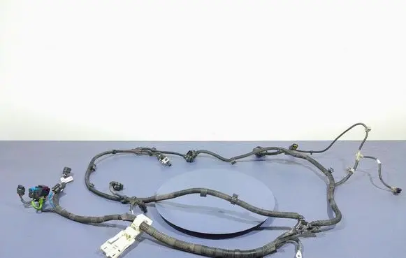 BMW X5 E53 Other wiring loom 8581509