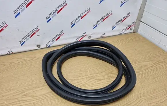 BMW X6 E71 Rubber seal rear door 7195442