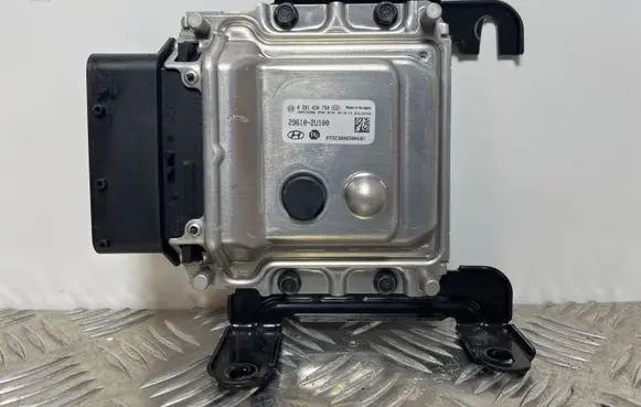 Hyundai Kona I Other control units/modules 296102U100
