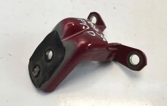 Nissan Leaf II (ZE1) Front door lower hinge 