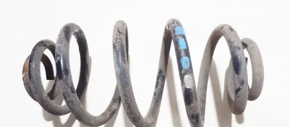 Volkswagen PASSAT B5 Rear coil spring