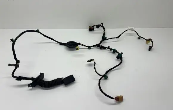 Volkswagen T-Roc Front door wiring loom 2GA971120B