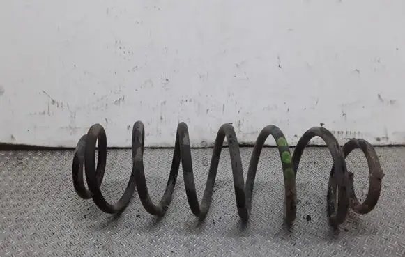 Rear coil spring