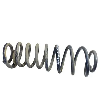 Ford Mustang V Rear coil spring BR335560CB