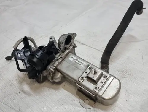 EGR valve
