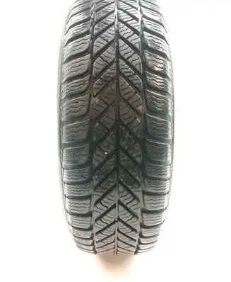 Fiat Punto (188) R14 winter tire