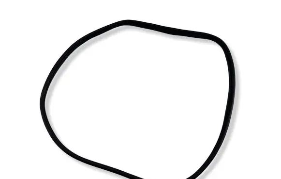 KIA EV6 Rear door rubber seal (on body) 