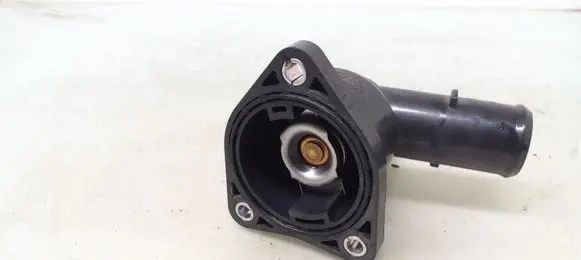 Thermostat/thermostat housing