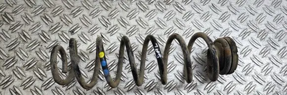 Skoda Fabia Mk3 (NJ) Rear coil spring