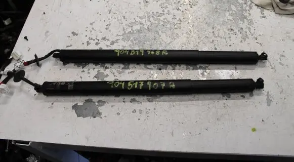 Renault Austral Tailgate strut 904519468R 904517907R
