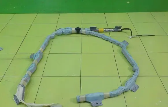Toyota Prius (XW20) Roof airbag 