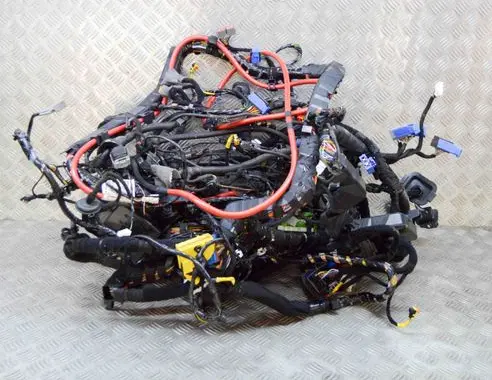 Maserati Quattroporte Other wiring loom 670007518 670007397