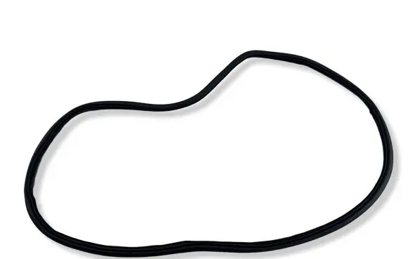 Volkswagen ID.4 Rubber seal front door (on door) 11A867911B