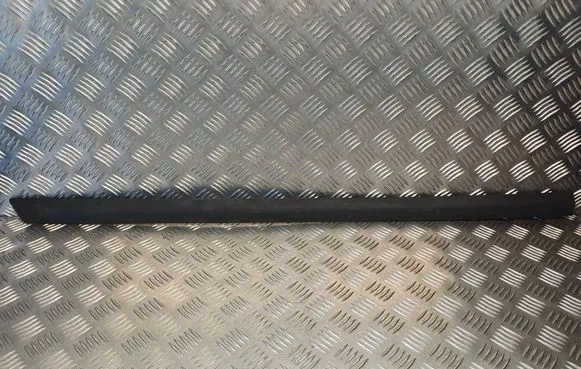 Toyota Corolla Verso E121 Front door trim (molding) PZ415E852201