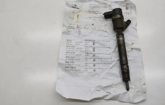Volvo V70 Fuel injector 0445110298