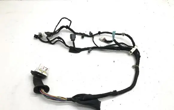 Chevrolet Epica Front door wiring loom
