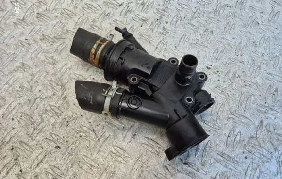 Thermostat/thermostat housing
