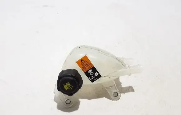Renault Austral Coolant expansion tank/reservoir 217100984R