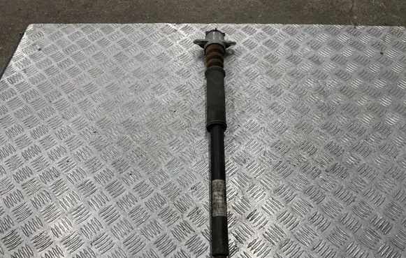 Skoda Fabia Mk3 (NJ) Rear shock absorber/damper 6R0513025