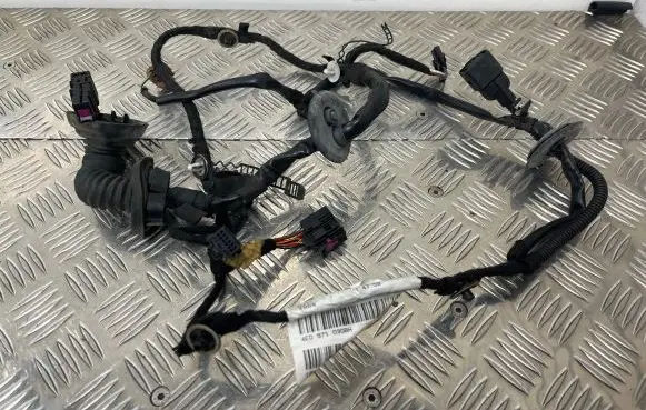 Audi A8 S8 D3 4E Front door wiring loom 4E0971030BH 18102006